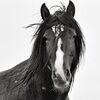 deborahraill